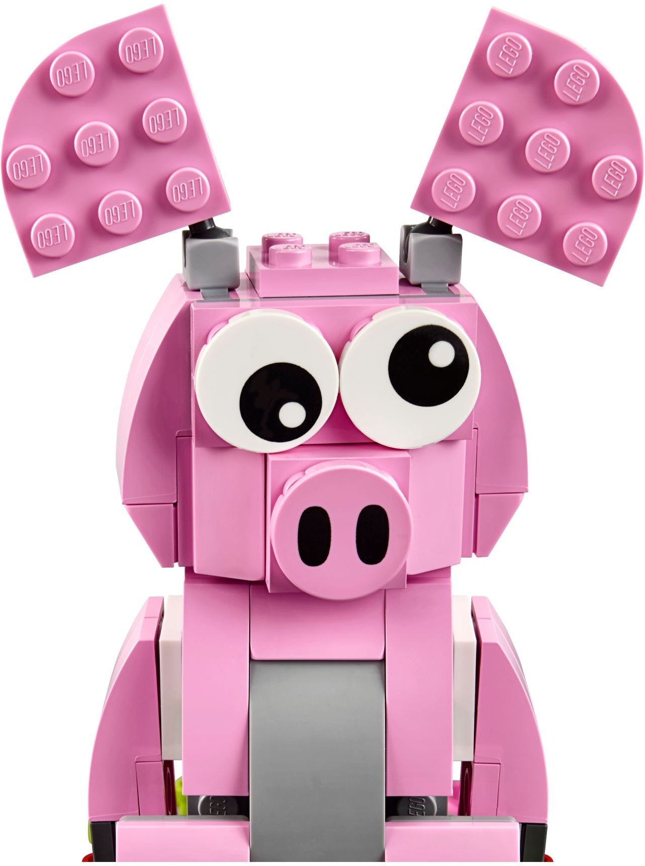 Year of the Pig | Seasonal | 40186