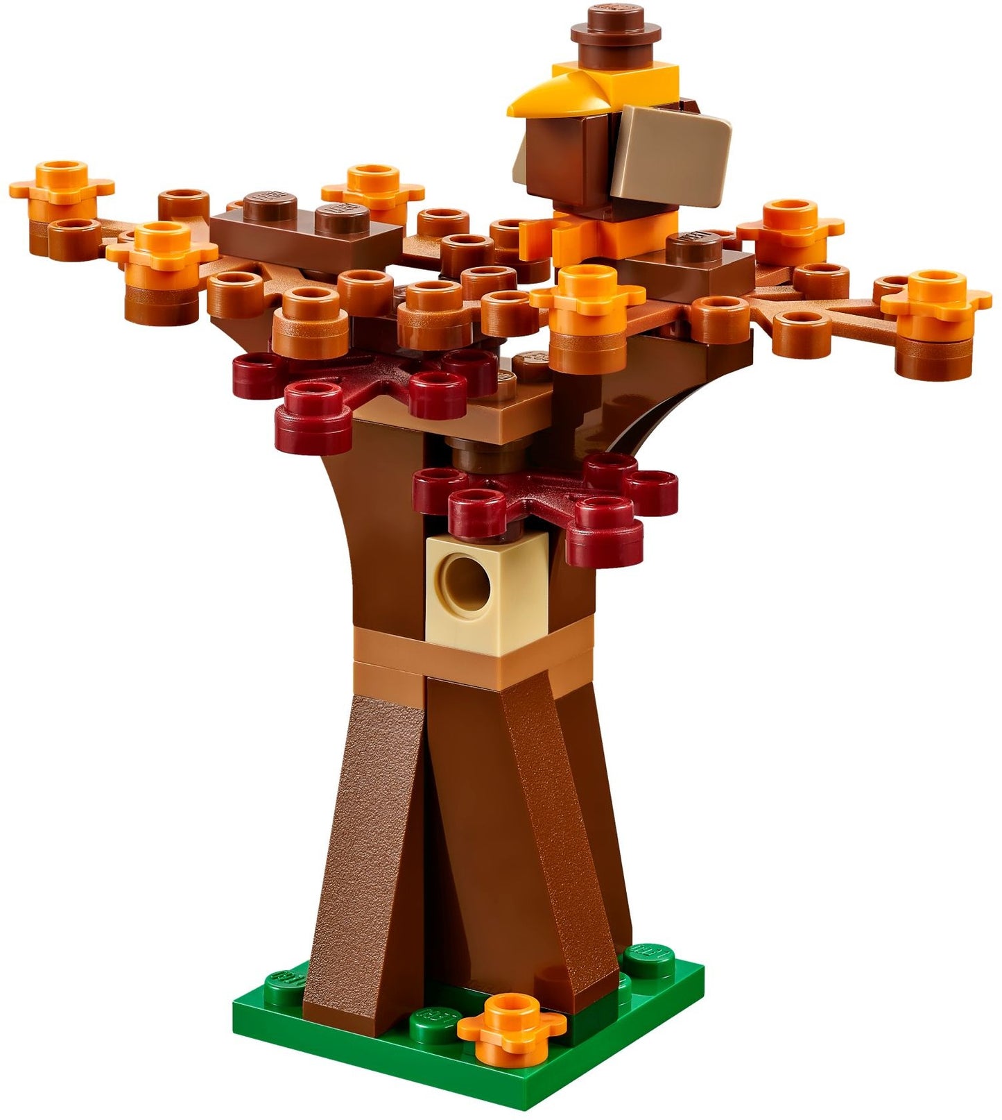 Thanksgiving Harvest | Seasonal | 40261