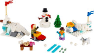 Winter Snowball Fight | Seasonal | 40424