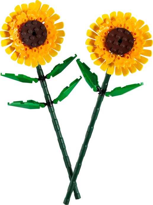 Sunflowers | Creator | 40524