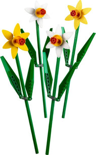 Daffodils | Icons | 40646