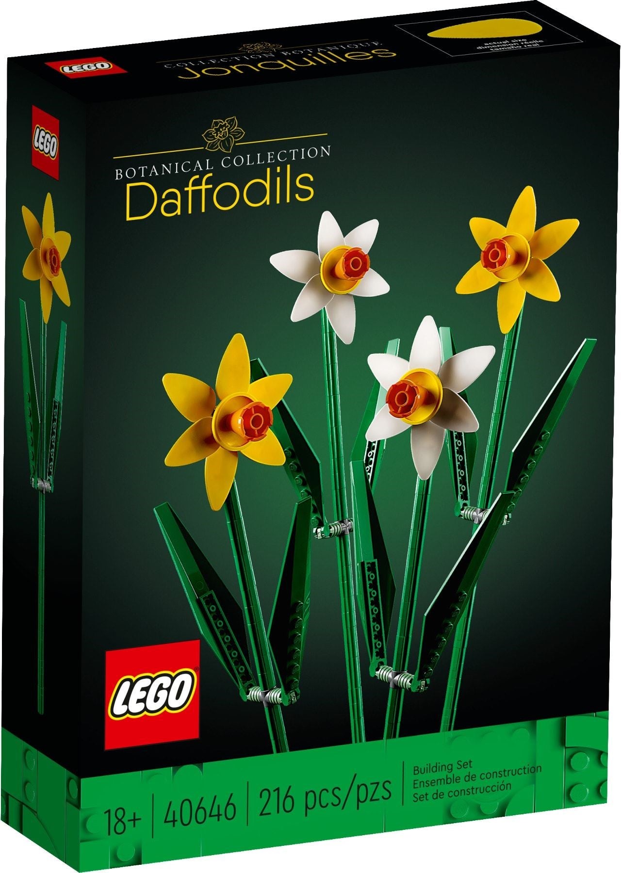 Jonquilles | Icônes | 40646
