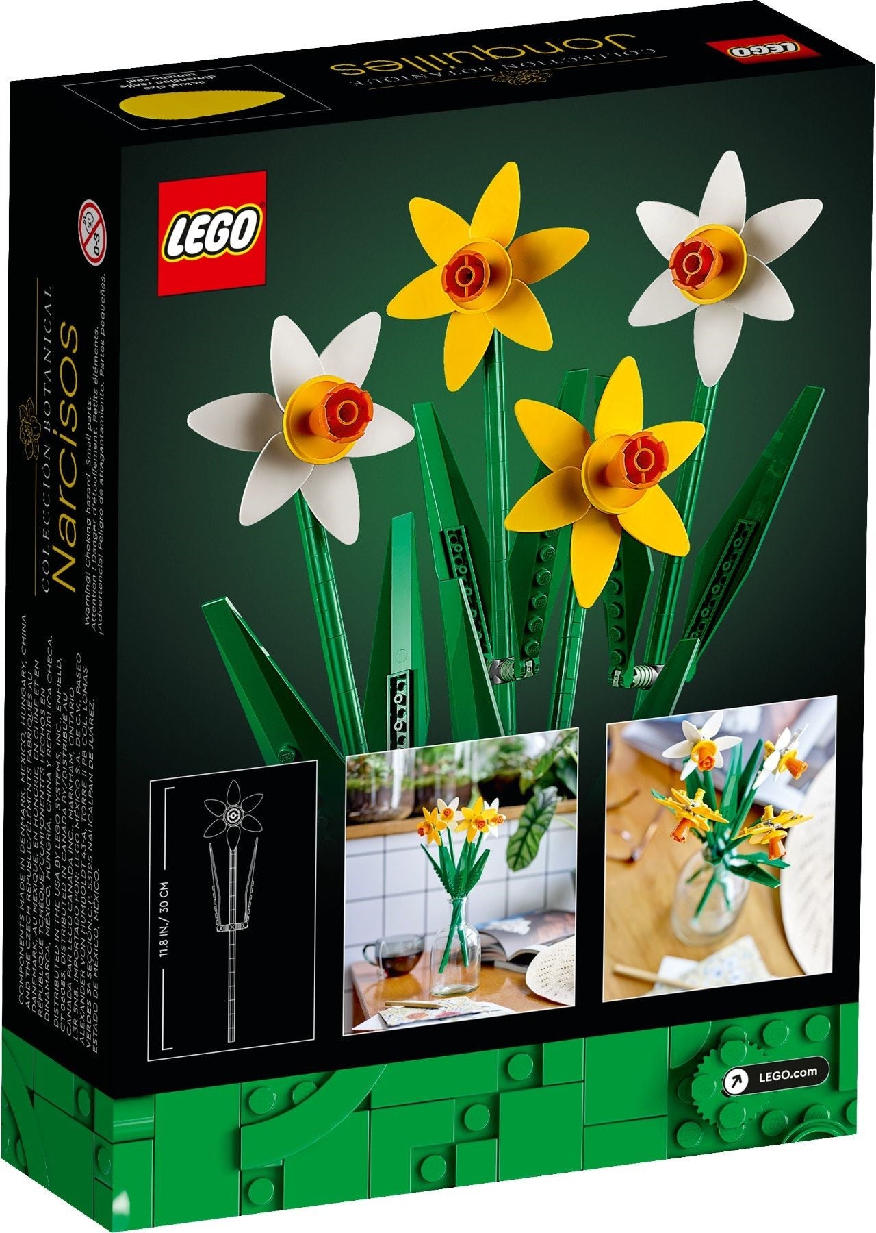 Jonquilles | Icônes | 40646