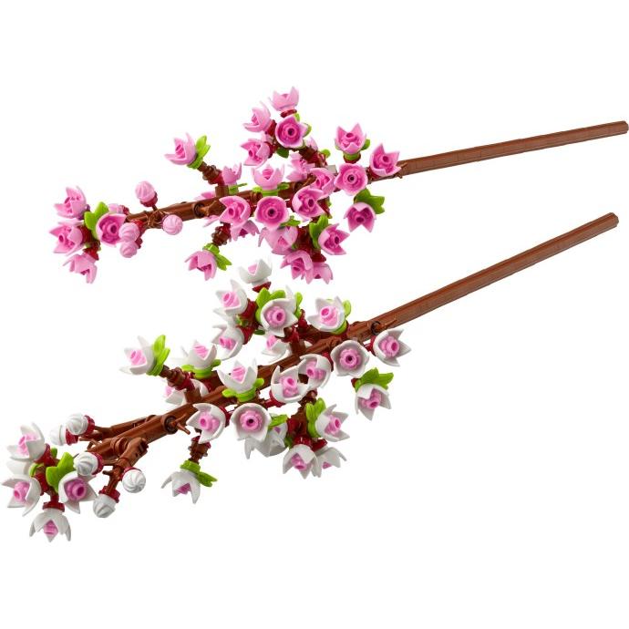 Cherry Blossoms | Creator | 40725