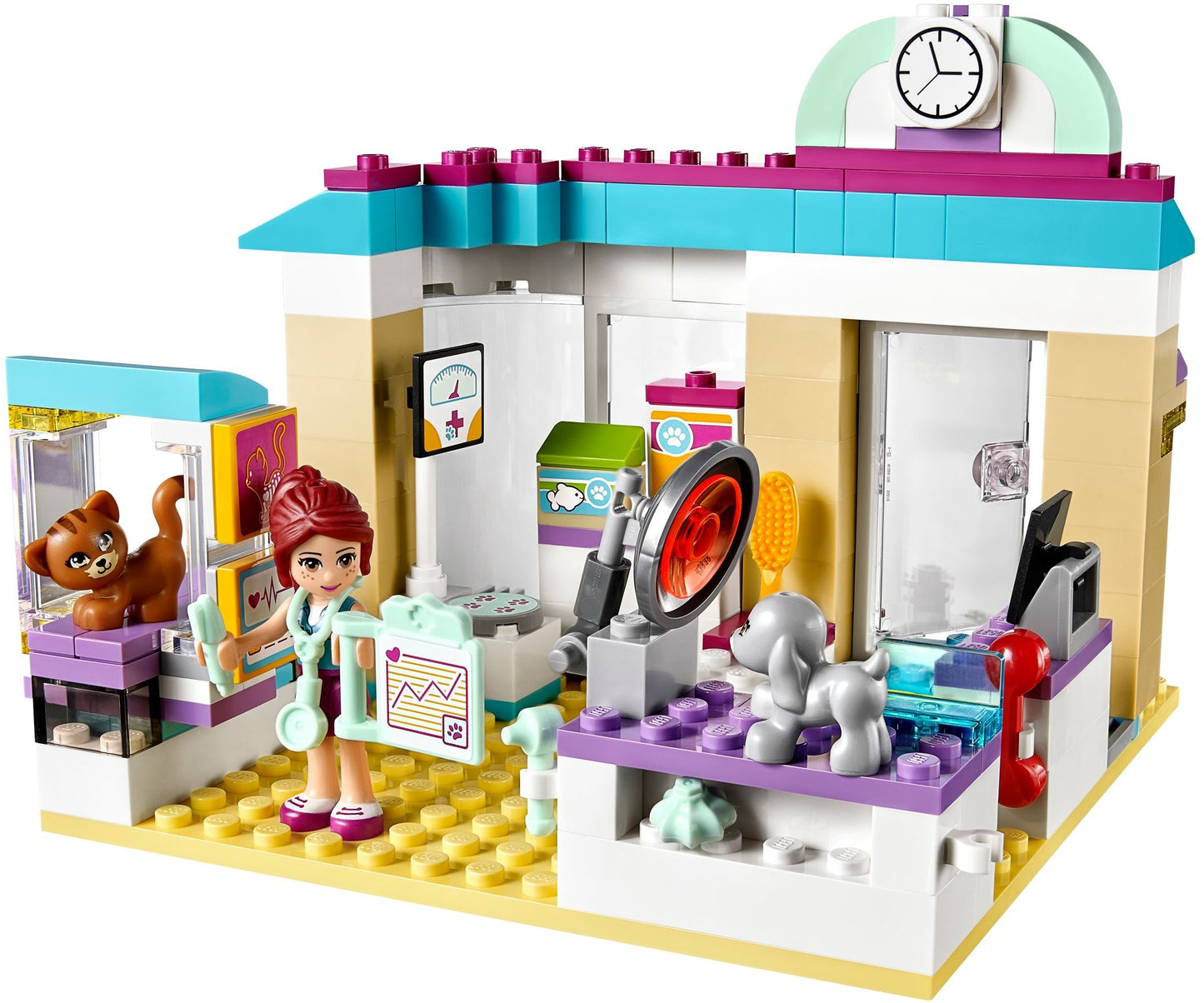 Clinique vétérinaire | Amis | 41085