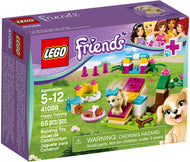 Puppy Training | Friends | 41088