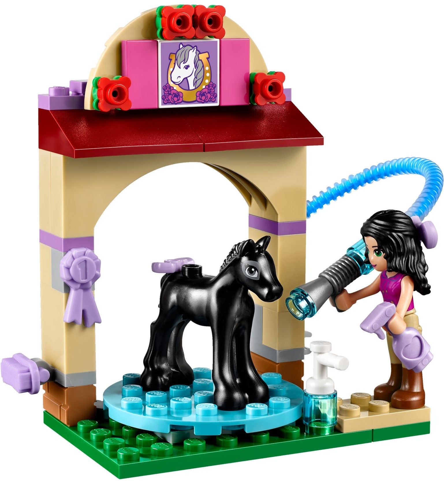 Foal's Washing Station | Friends | 41123