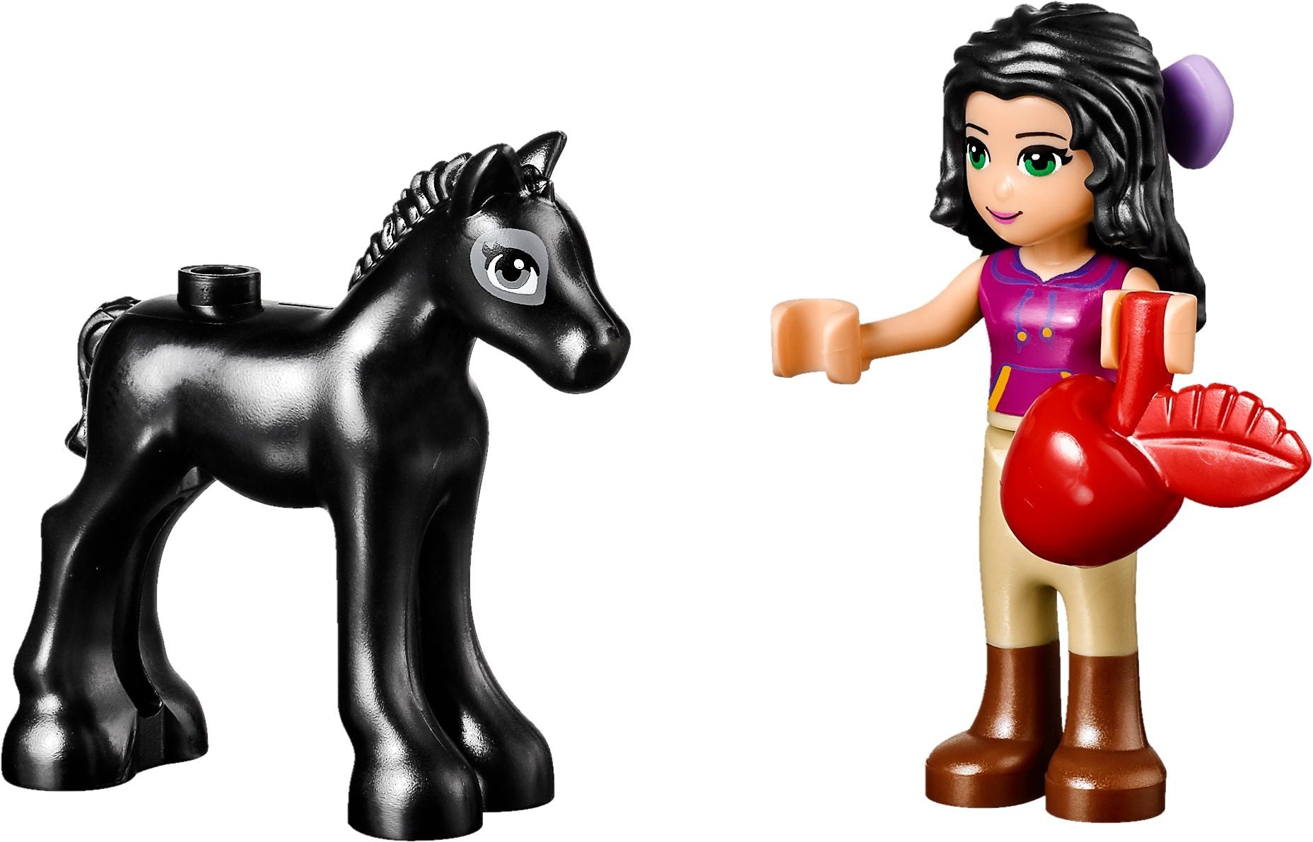 Foal's Washing Station | Friends | 41123