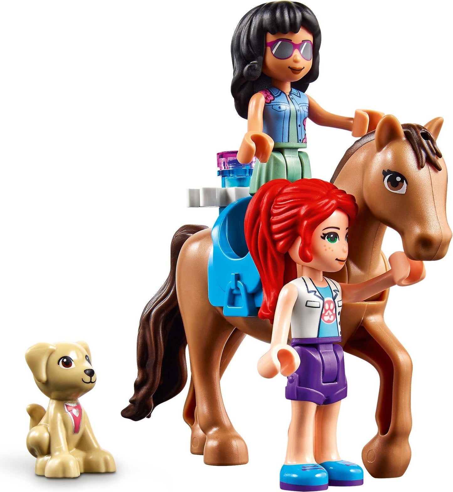 Heartlake City Vet Clinic | Friends | 41446