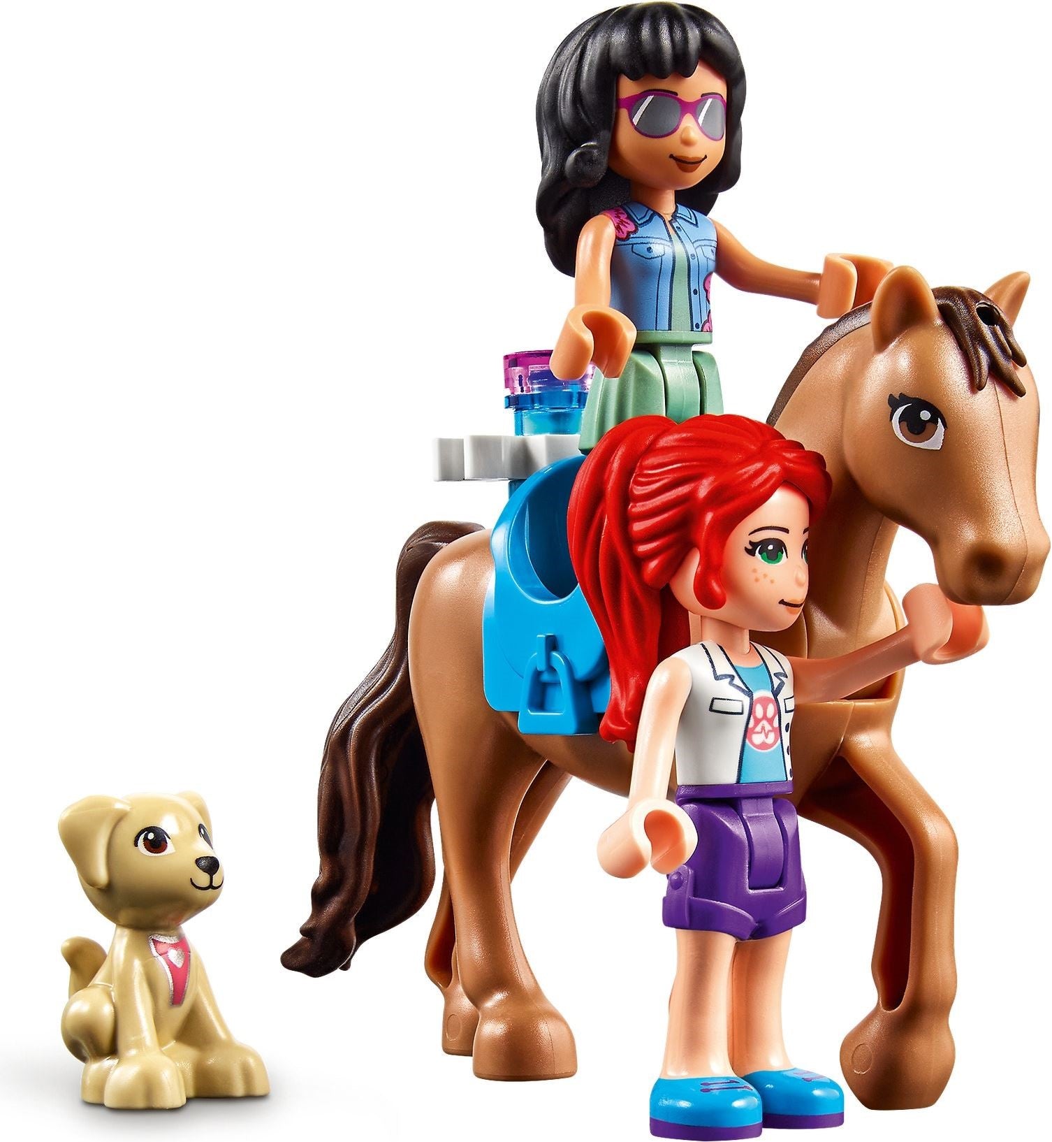 Heartlake City Vet Clinic | Friends | 41446