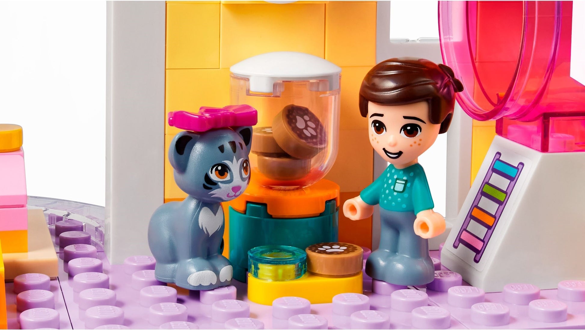 Garderie pour animaux | Amis | 41718