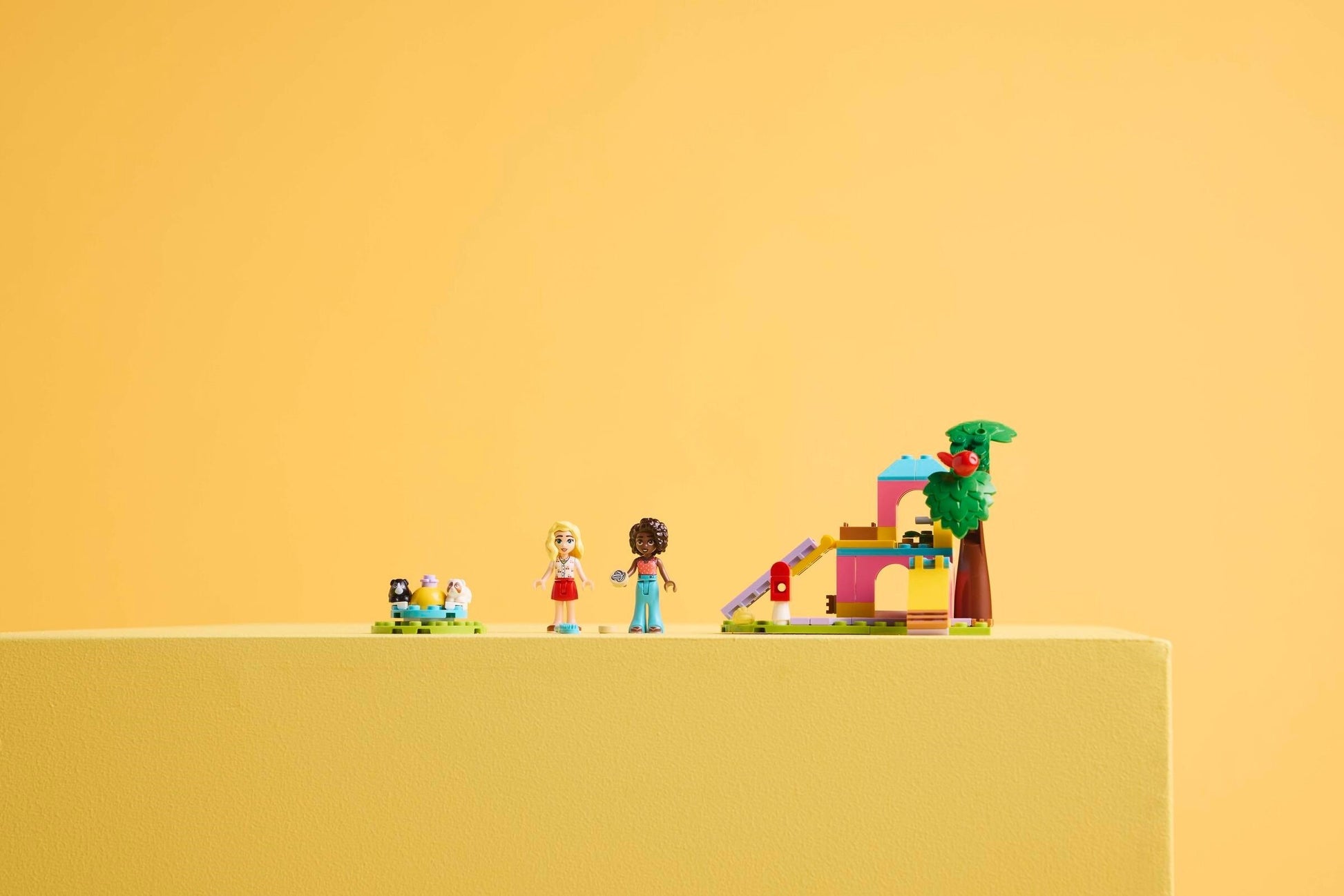 Aire de jeux pour cochons d'Inde | Friends | 42640
