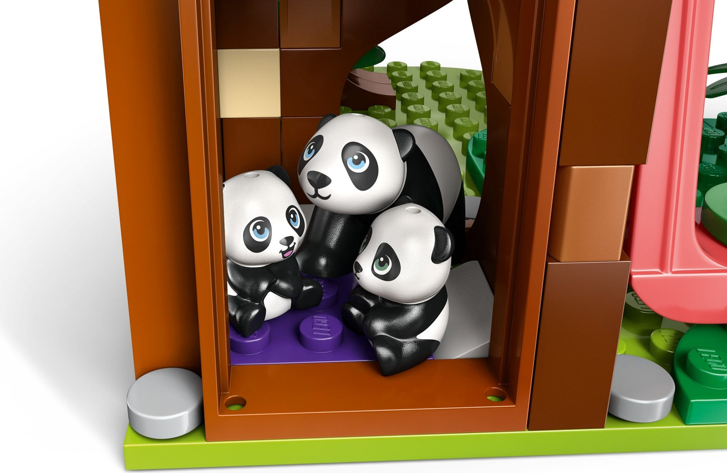 Sanctuaire des pandas | Amis | 42648