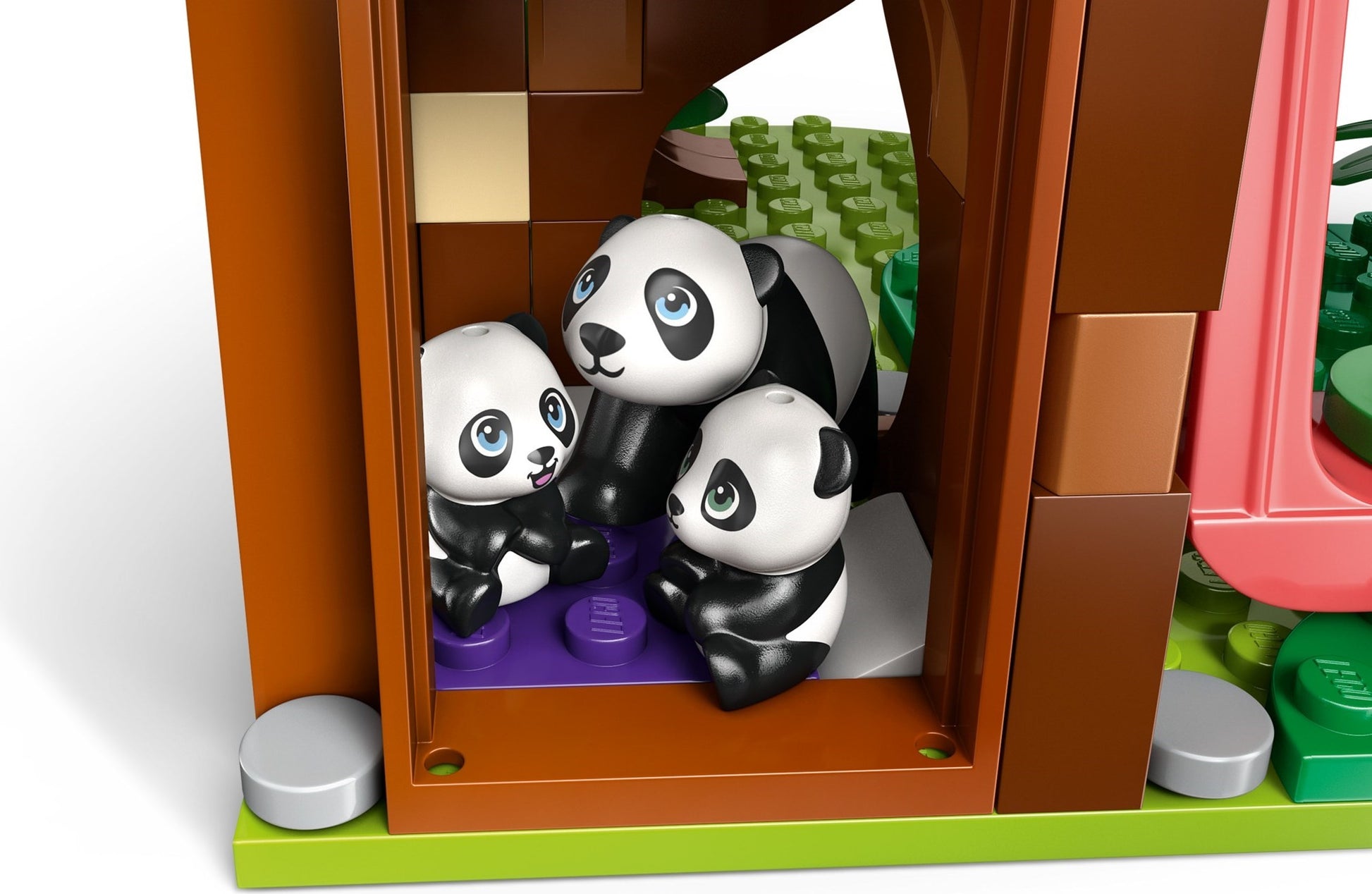 Sanctuaire des pandas | Amis | 42648