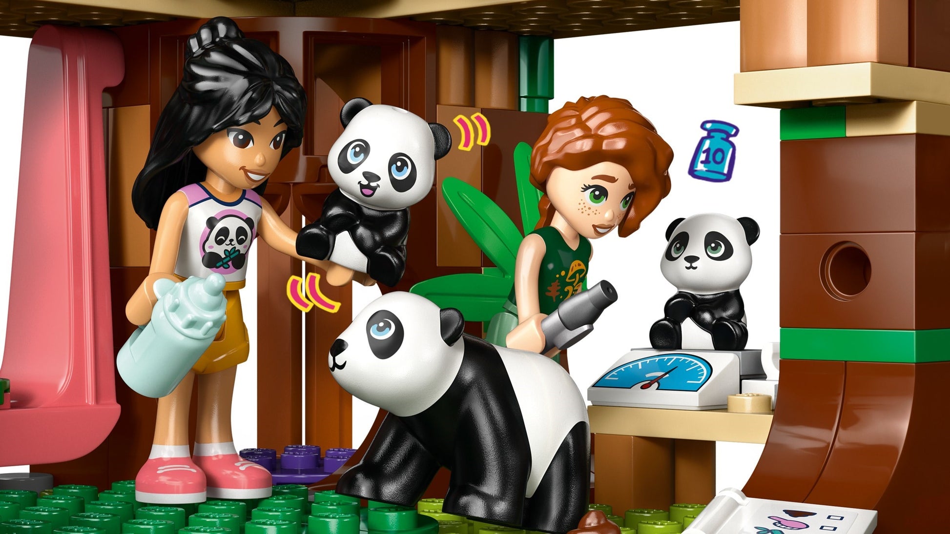 Sanctuaire des pandas | Amis | 42648