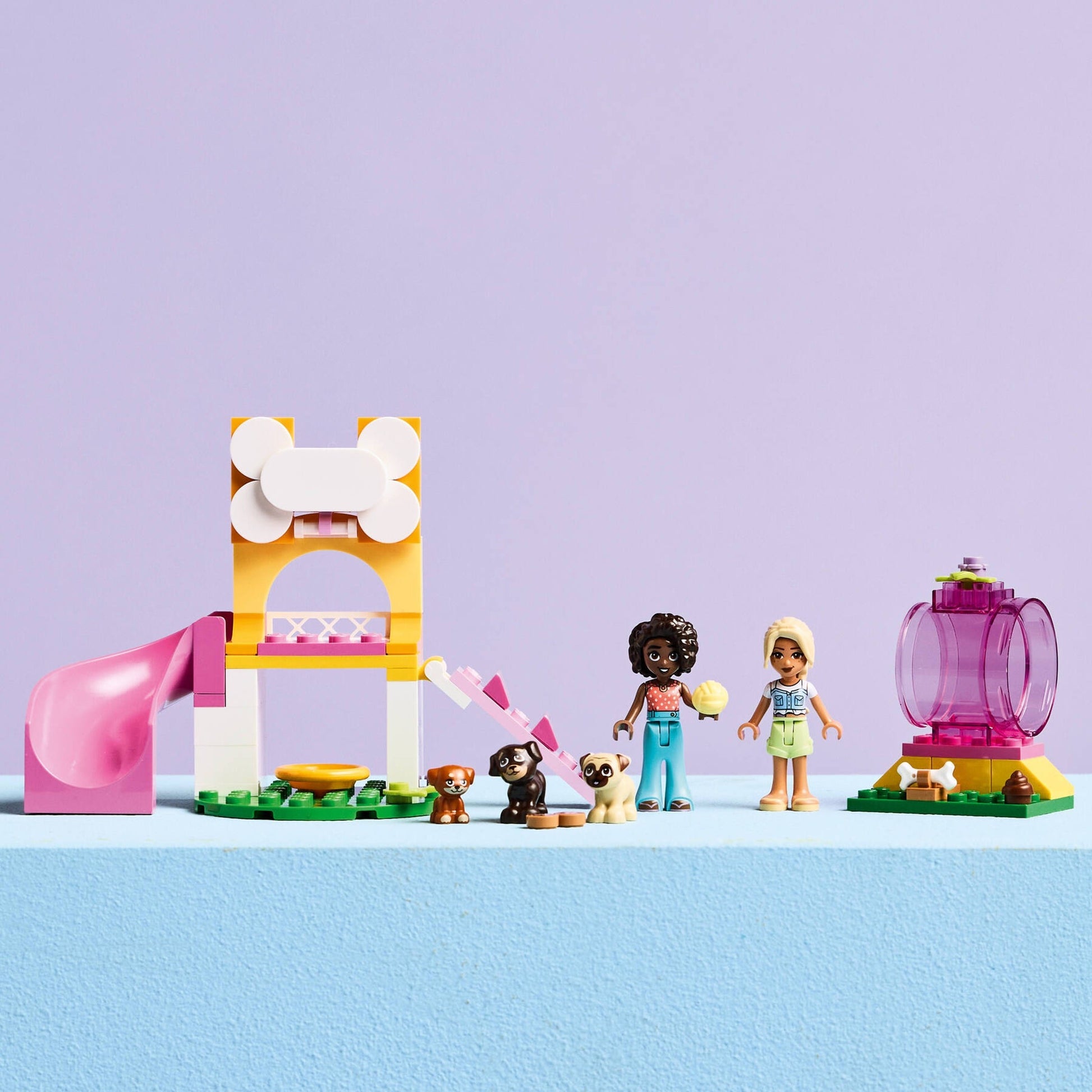 Puppy Playground | Friends | 42665