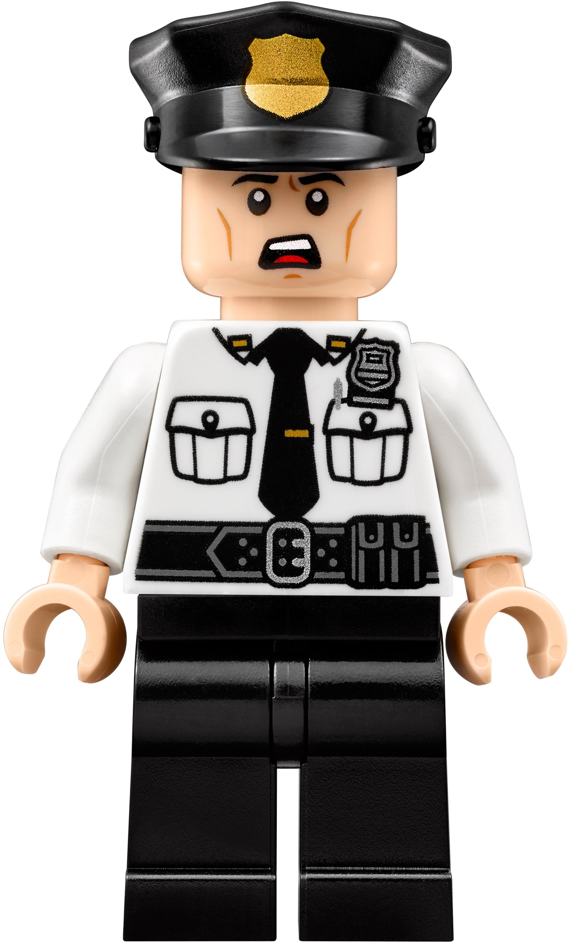 Scarecrow Special Delivery | The LEGO Batman Movie | 70910