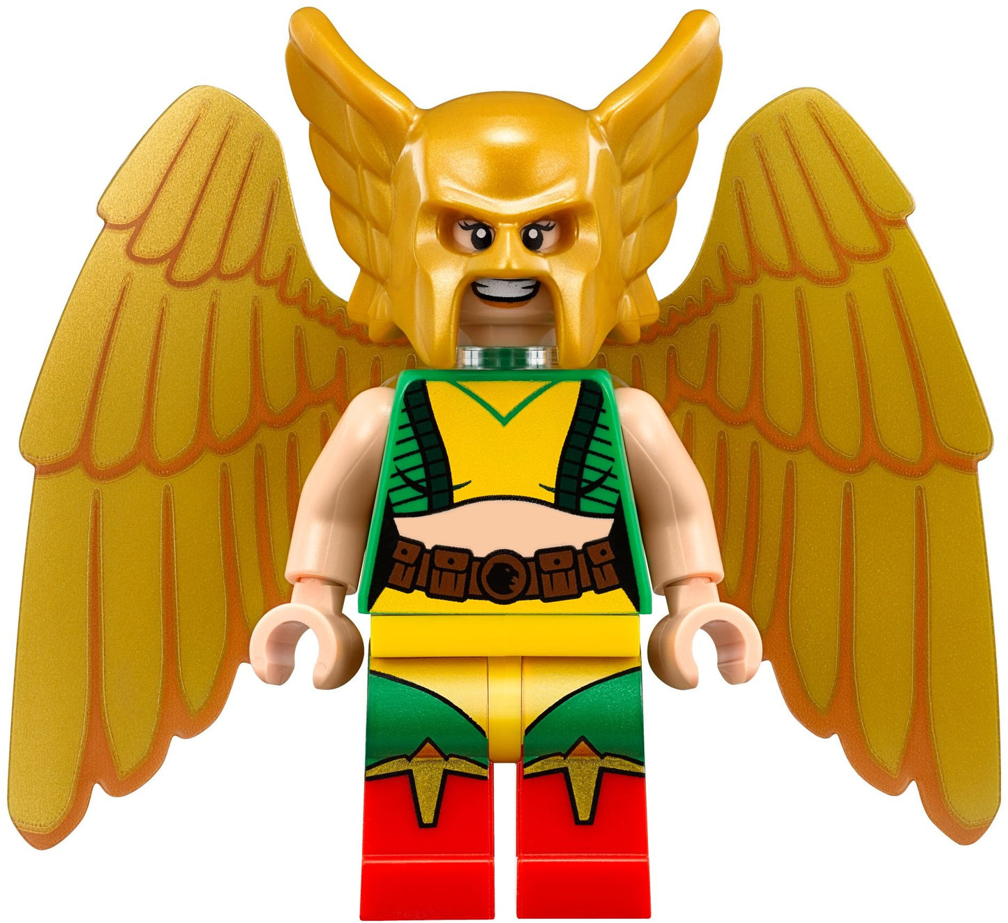 The Justice League Anniversary Party | The LEGO Batman Movie | 70919