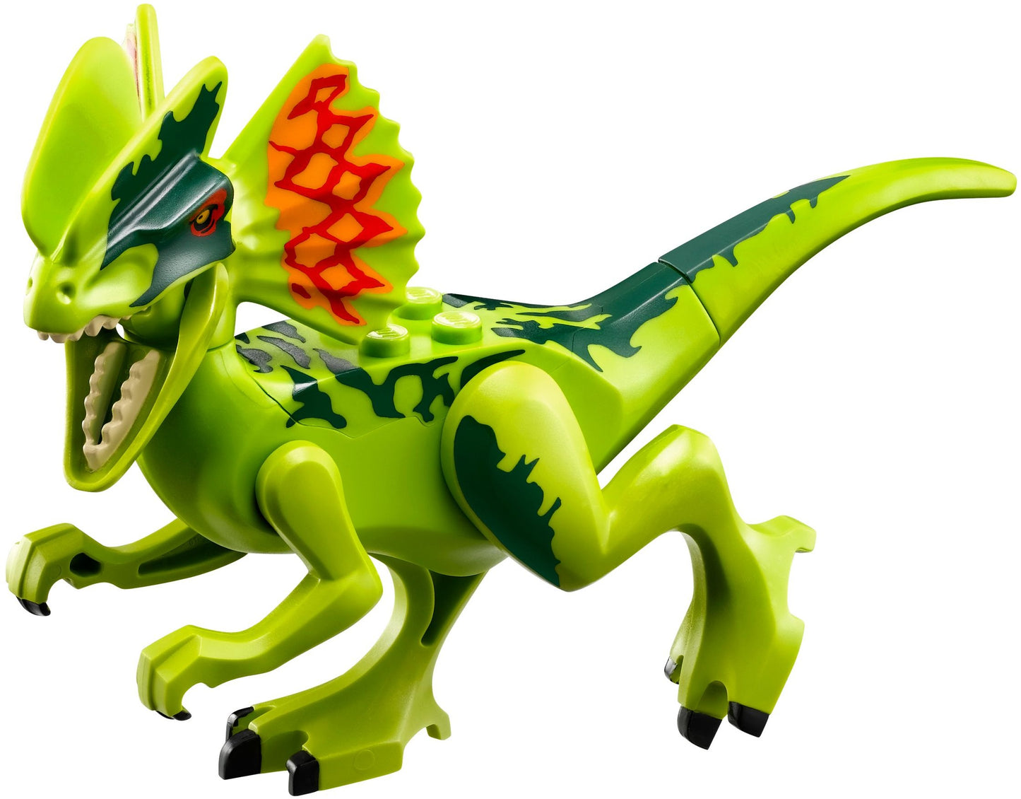 Embuscade du Dilophosaure | Jurassic World | 75916