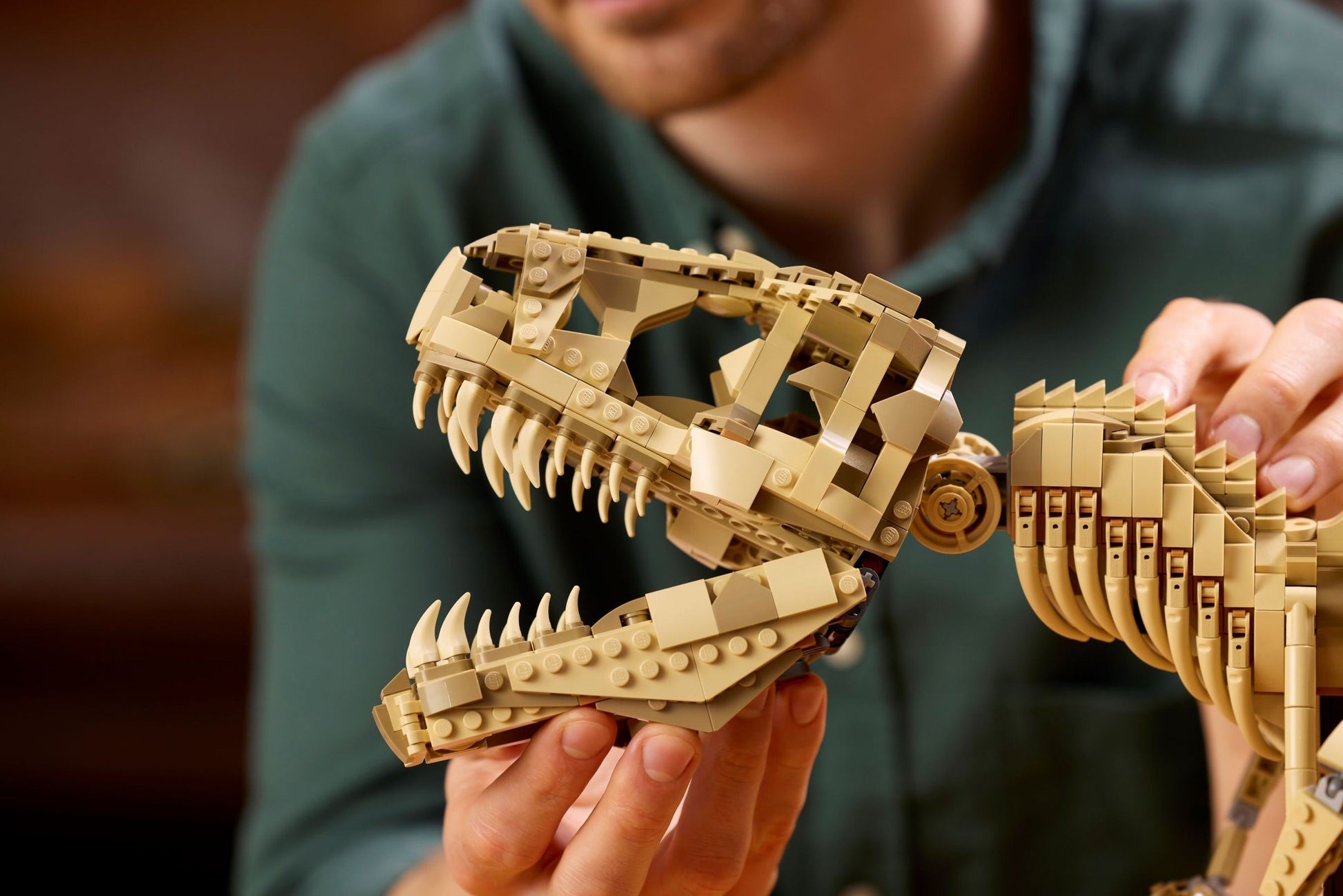 Dinosaur Fossils: Tyrannosaurus rex | Jurassic World | 76968
