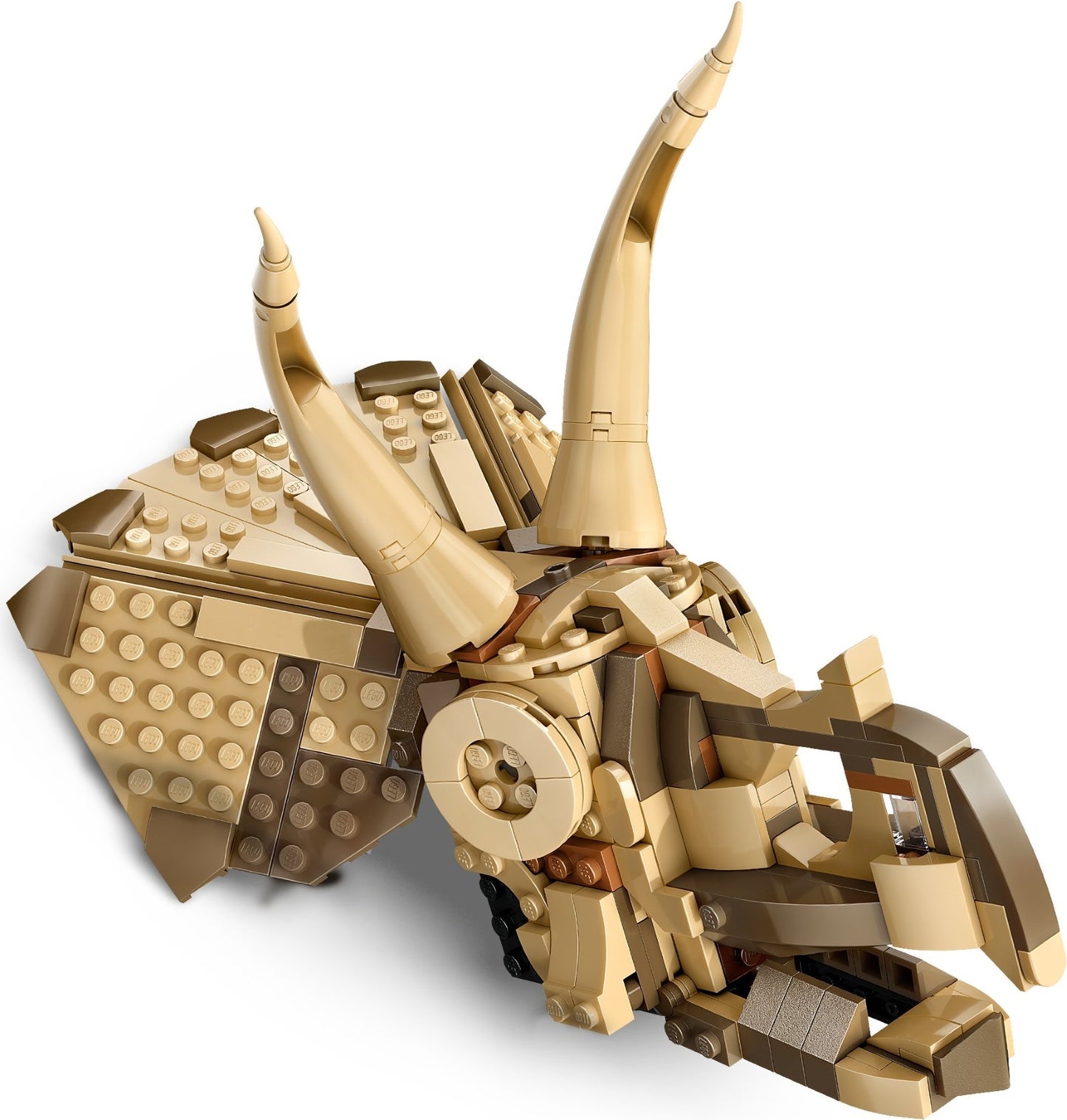 Dinosaur Fossils: Triceratops Skull | Jurassic World | 76969