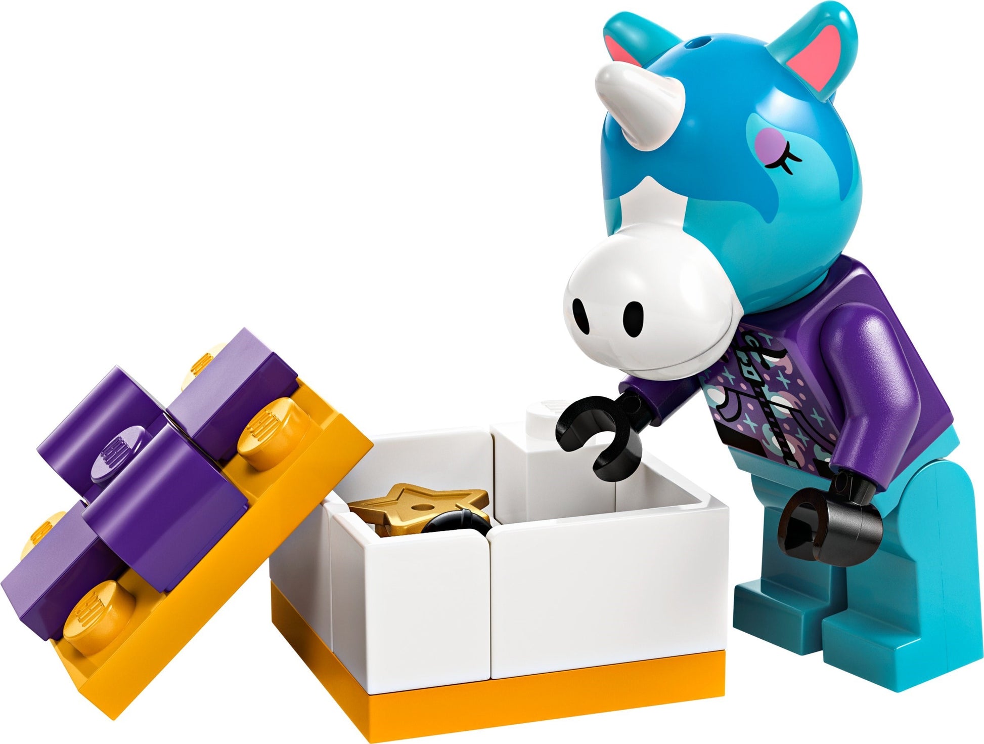 Fête d'anniversaire de Julian | Animal Crossing | 77046