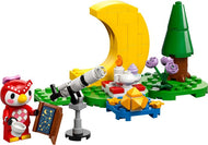 Stargazing with Celeste | Animal Crossing | 77053