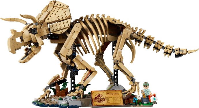 Dinosaur Fossils: Triceratops | Jurassic World | 77985