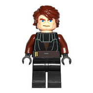 Anakin Skywalker - Large Eyes, Reddish Brown Arms | sw0183
