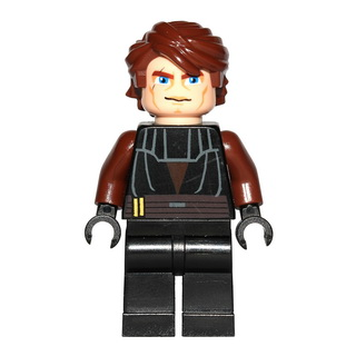 Anakin Skywalker - Large Eyes, Reddish Brown Arms | sw0183