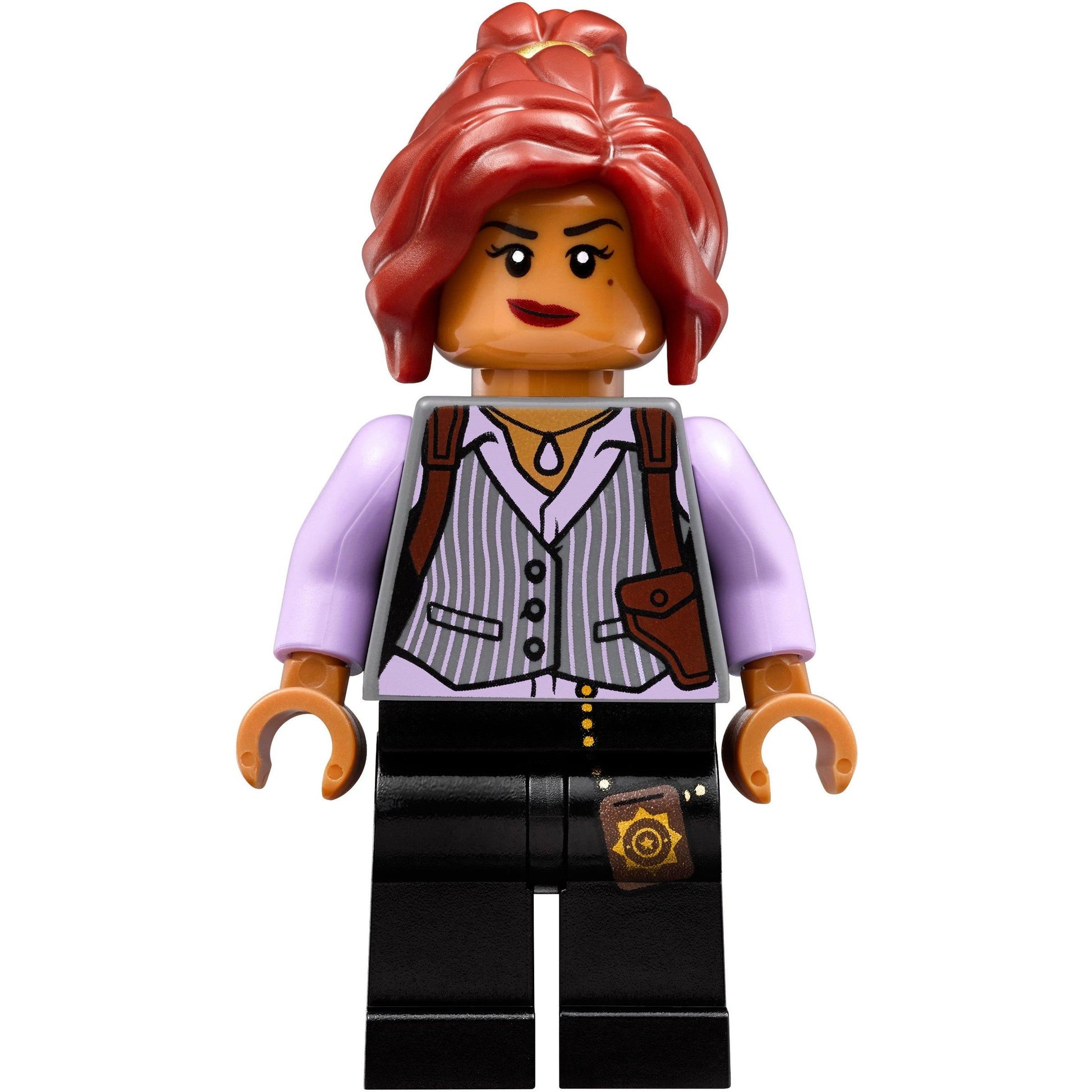 Asile d'Arkham | Le film LEGO Batman | 70912