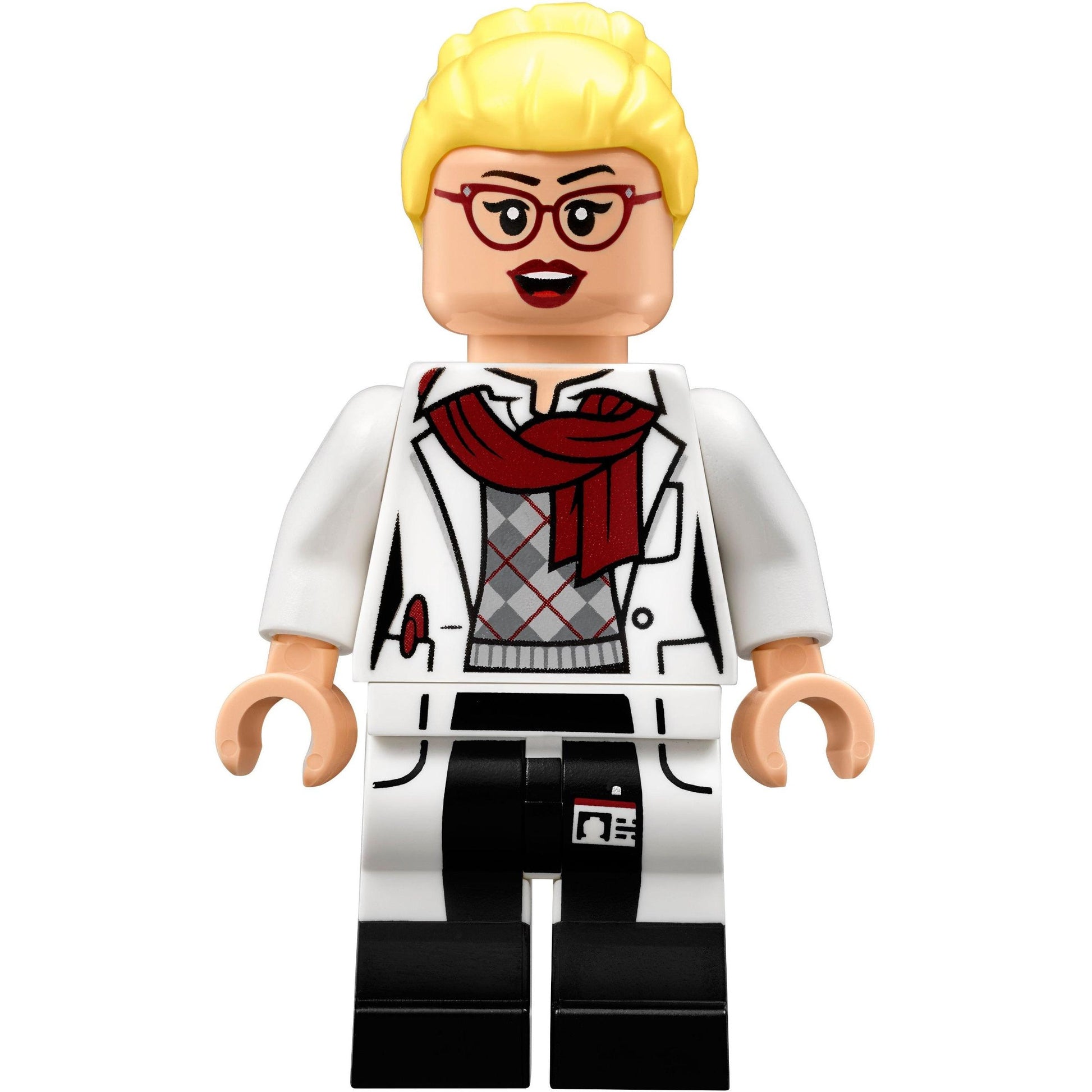 Asile d'Arkham | Le film LEGO Batman | 70912