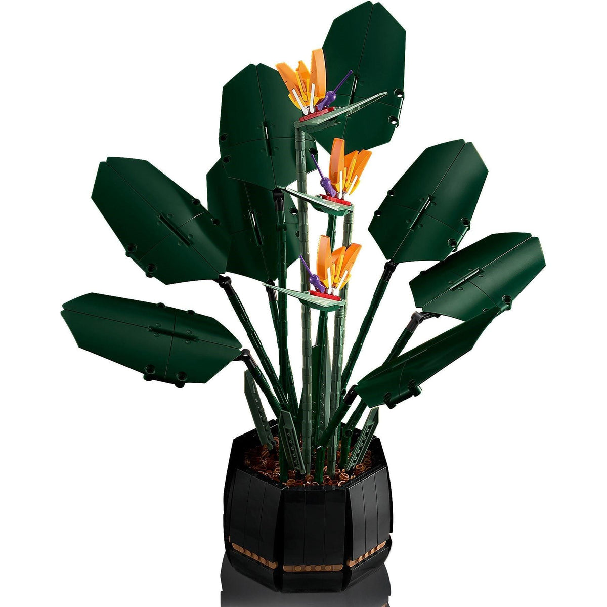 Bird of Paradise | Icons | 10289