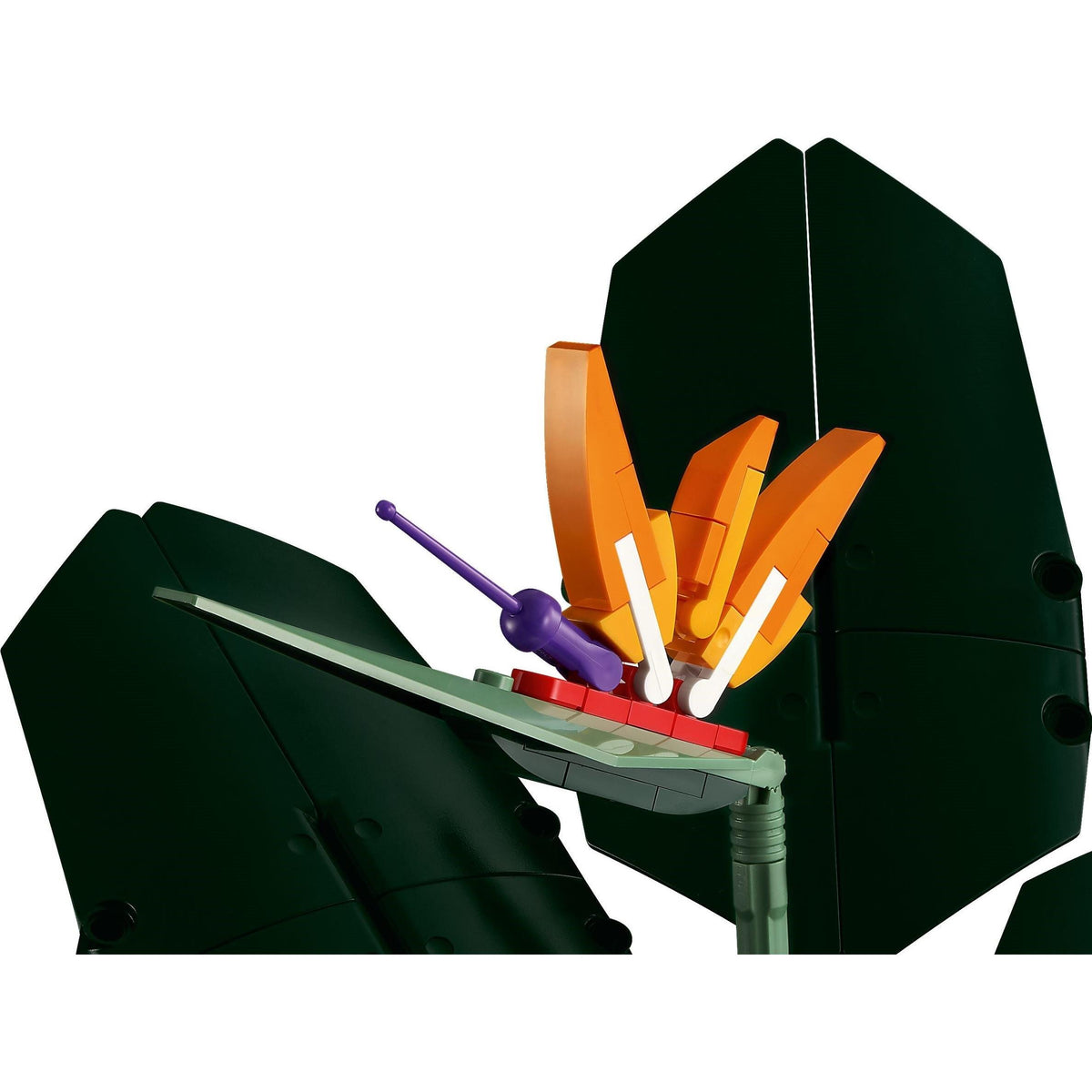 Bird of Paradise | Icons | 10289