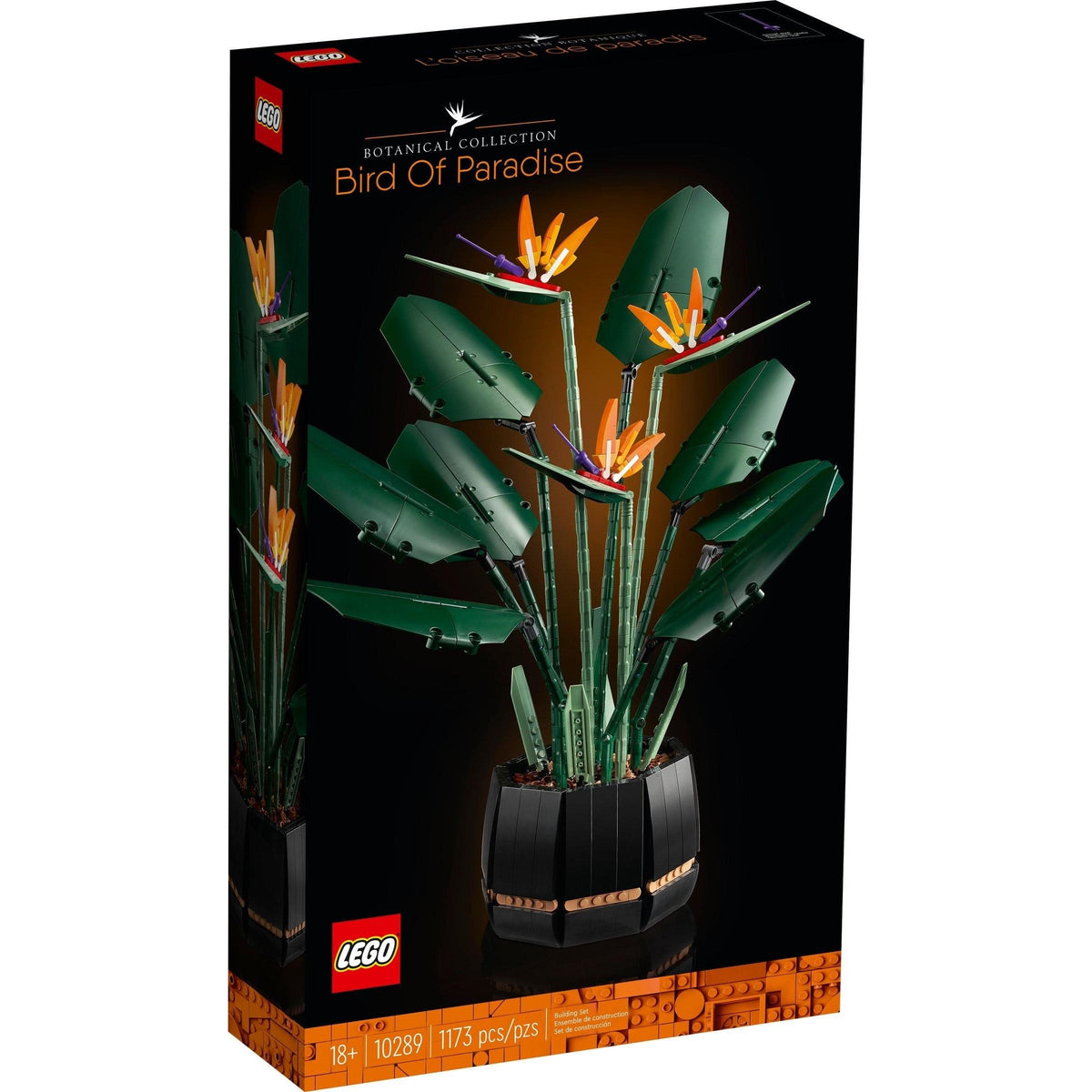 Bird of Paradise | Icons | 10289