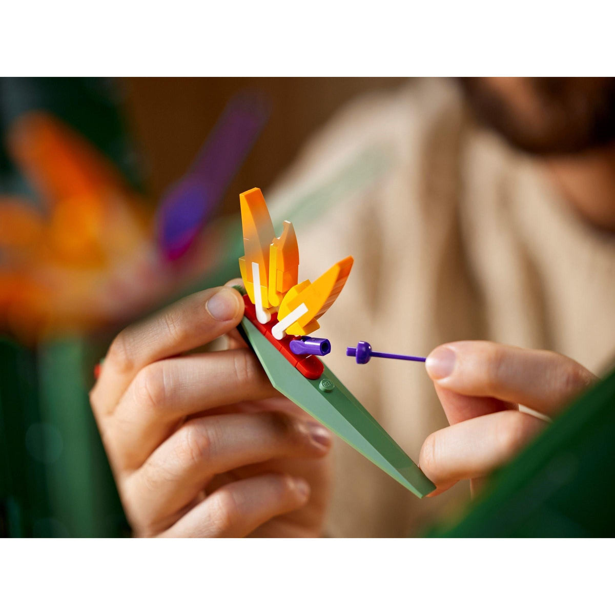Bird of Paradise | Icons | 10289