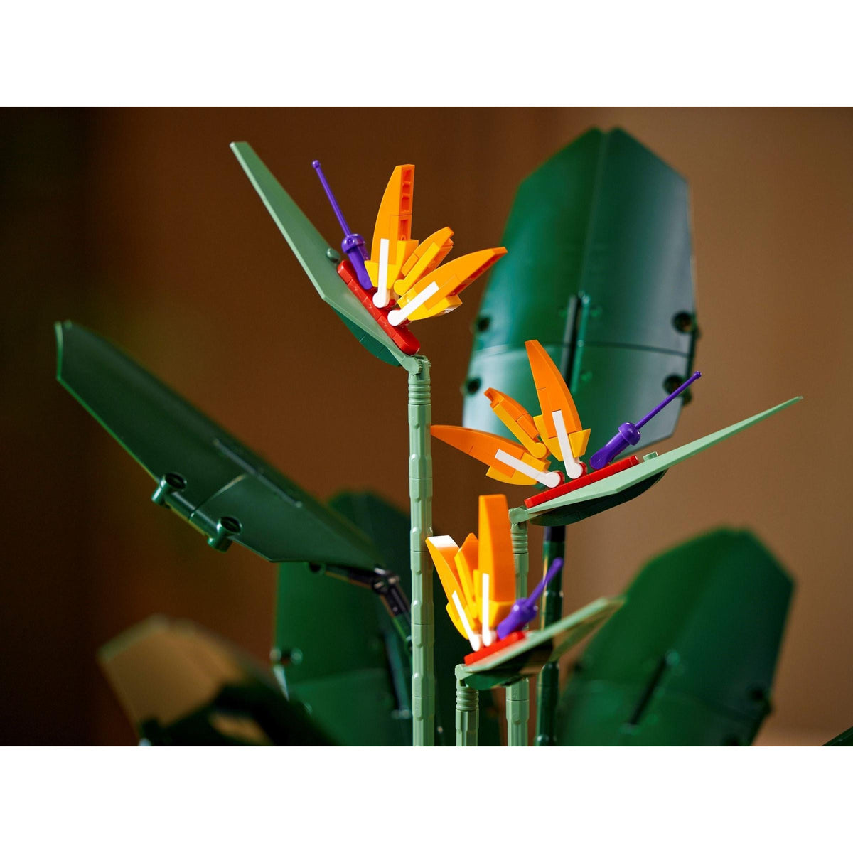 Bird of Paradise | Icons | 10289