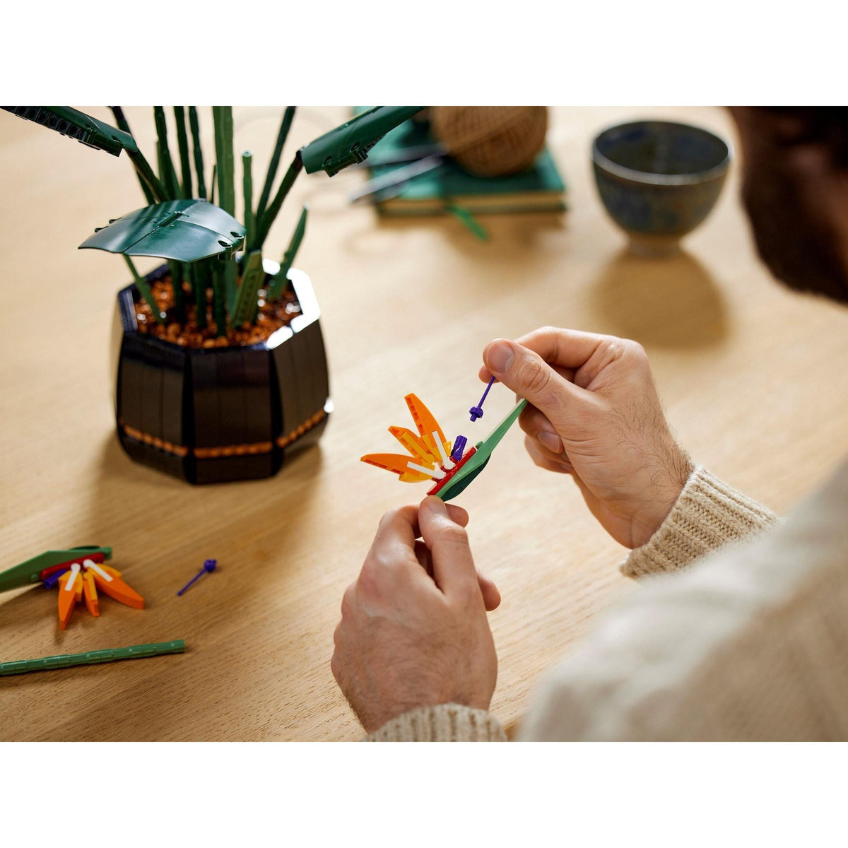 Bird of Paradise | Icons | 10289
