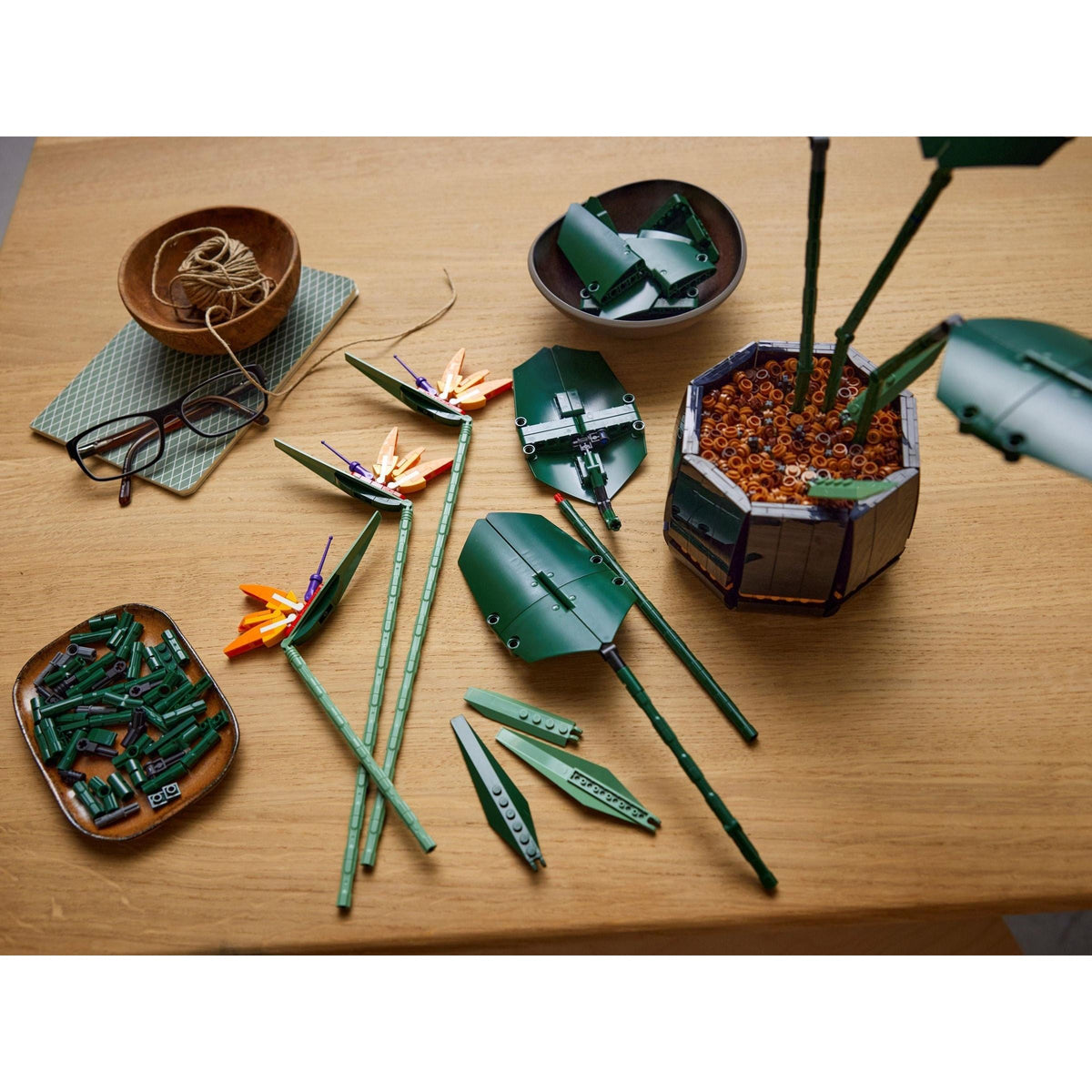 Bird of Paradise | Icons | 10289