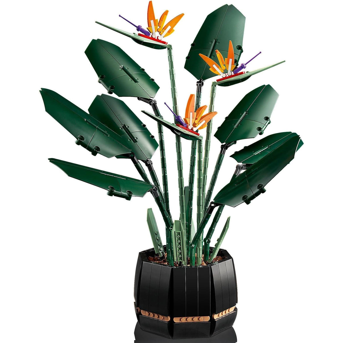 Bird of Paradise | Icons | 10289