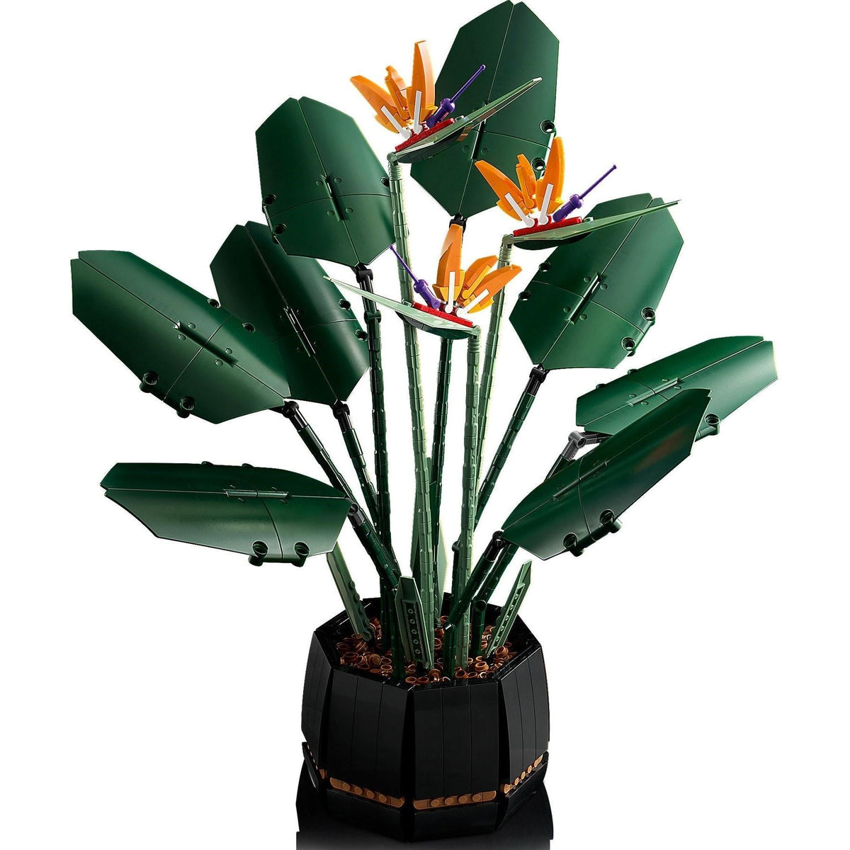 Bird of Paradise | Icons | 10289