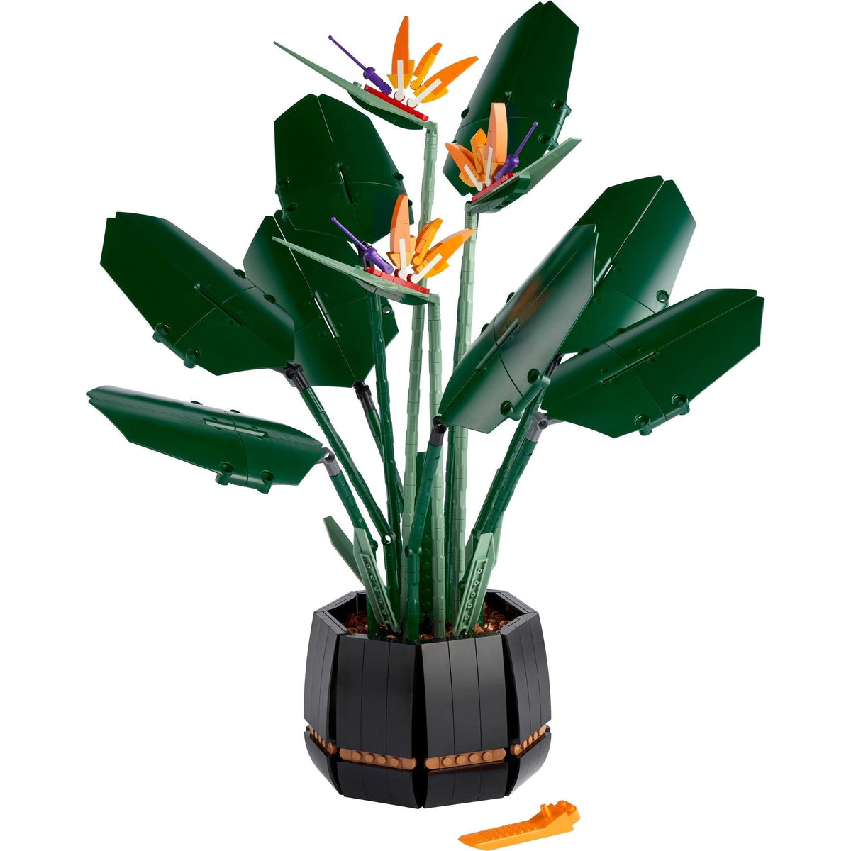 Bird of Paradise | Icons | 10289