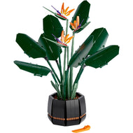 Bird of Paradise | Icons | 10289