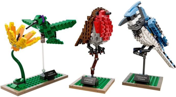 Birds | Ideas | 21301