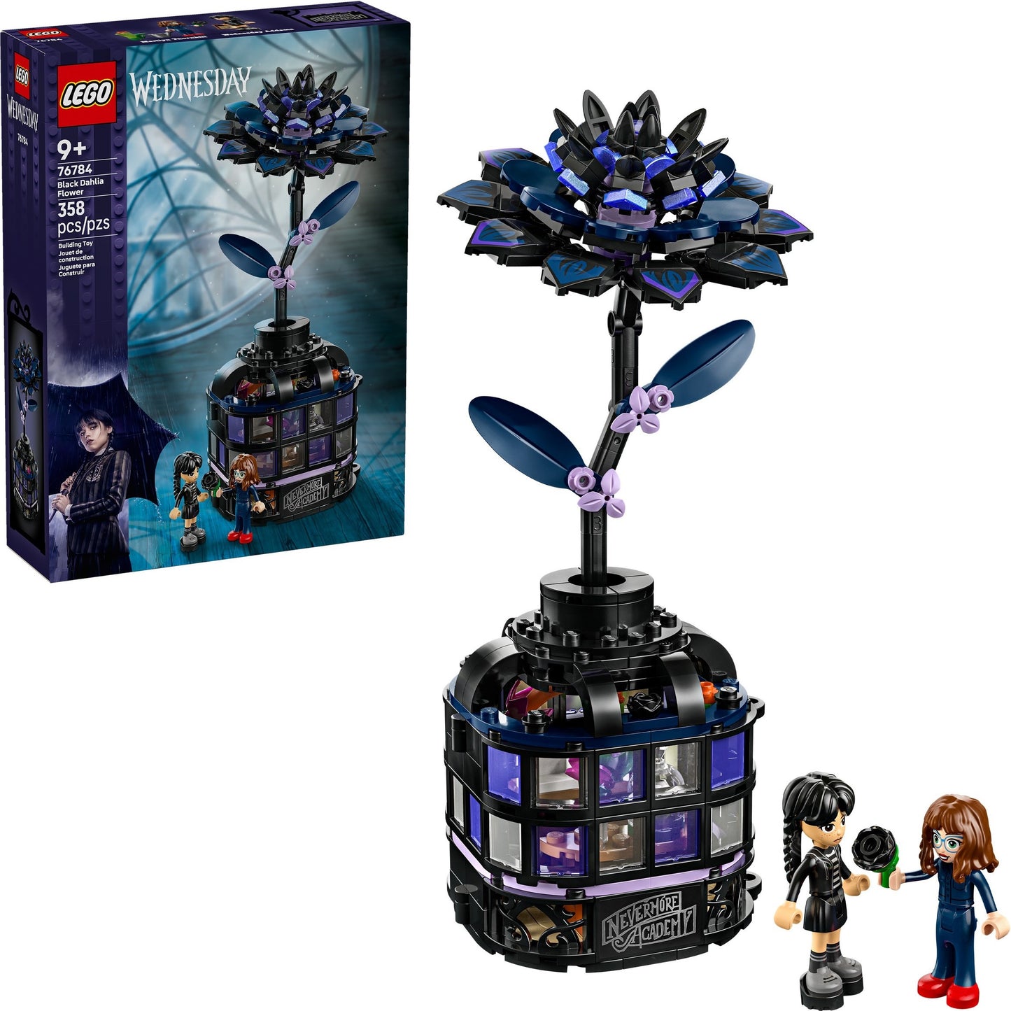 Black Dahlia Flower | Wednesday | 76784