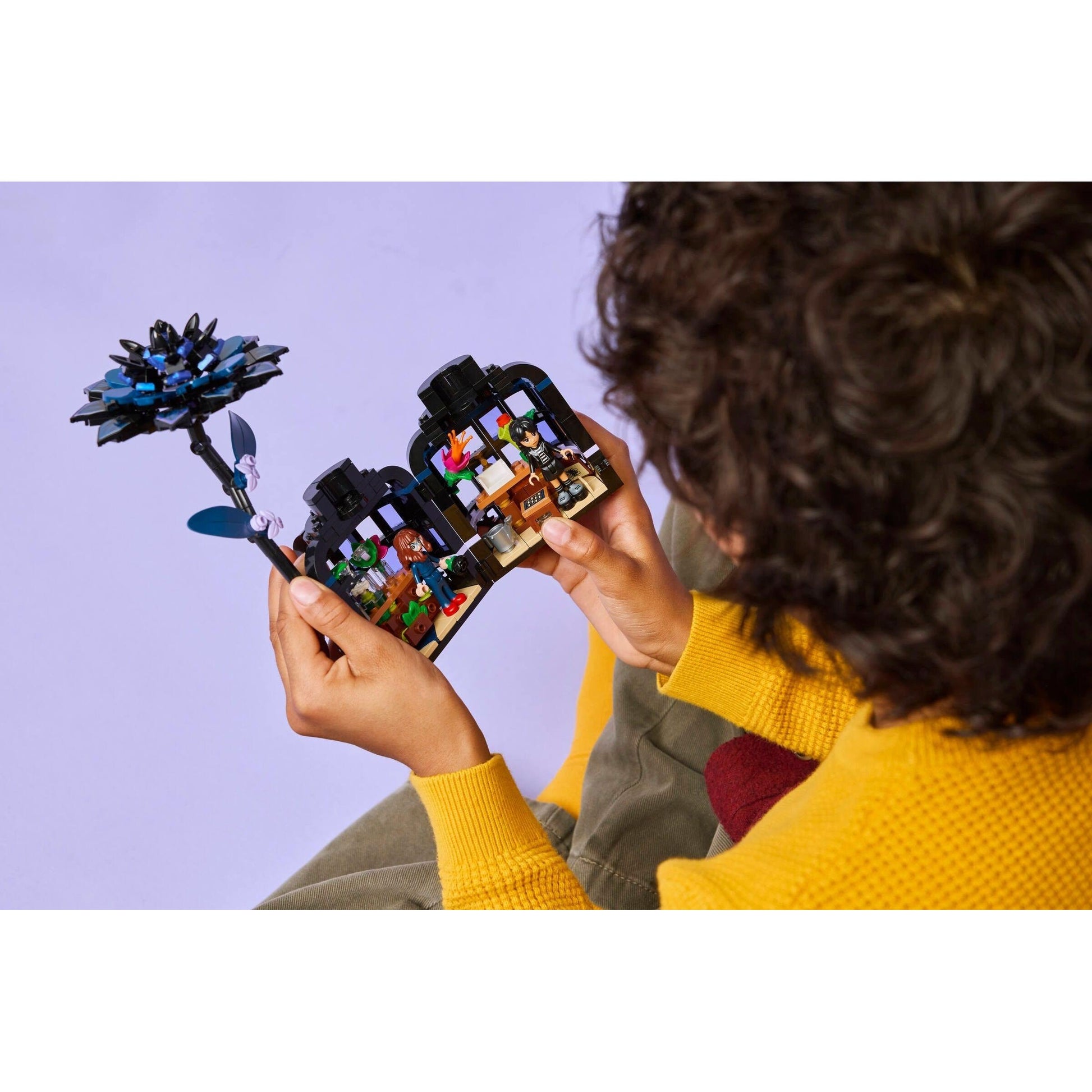 Black Dahlia Flower | Wednesday | 76784