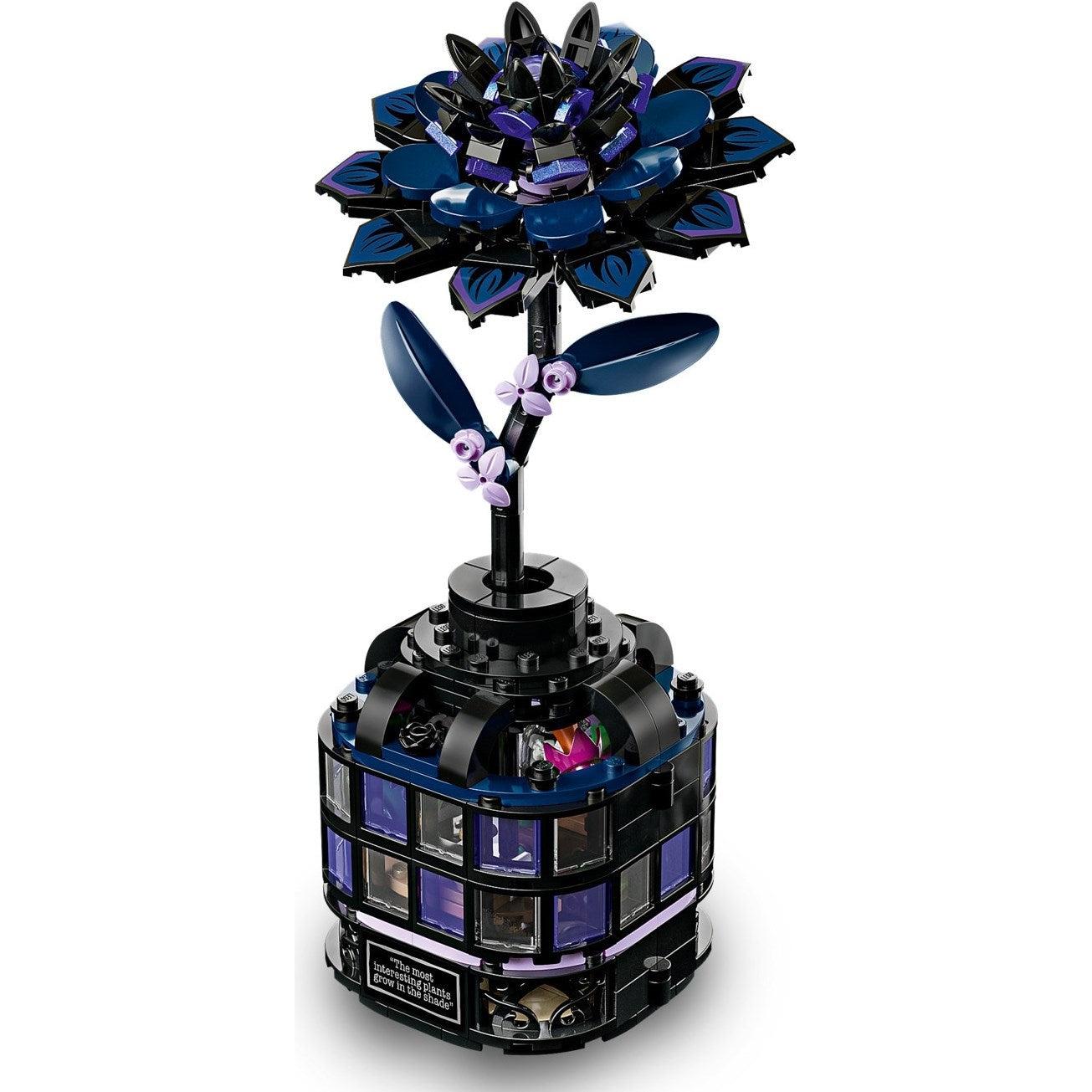 Black Dahlia Flower | Wednesday | 76784