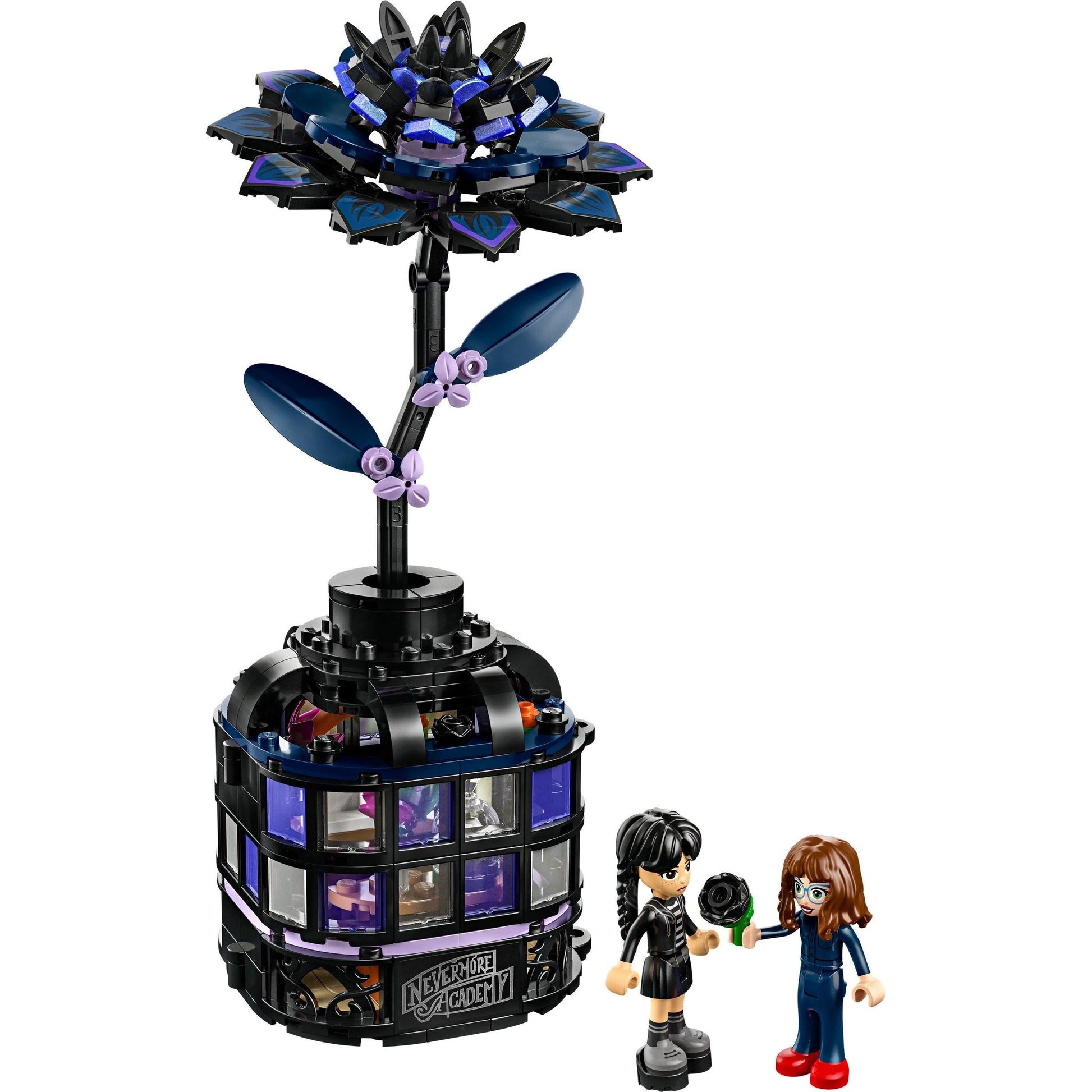 Black Dahlia Flower | Wednesday | 76784