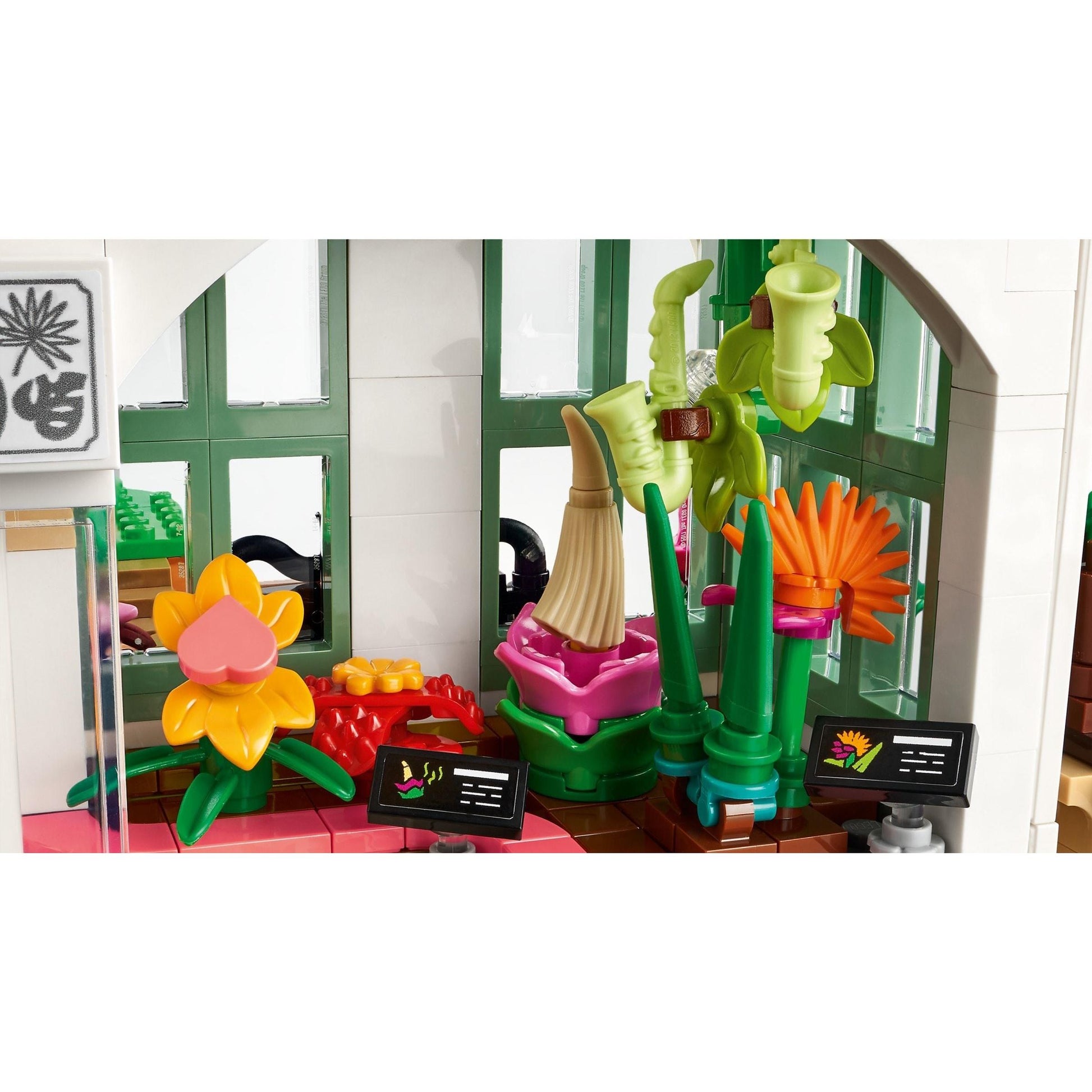 Jardin botanique | Amis | 41757