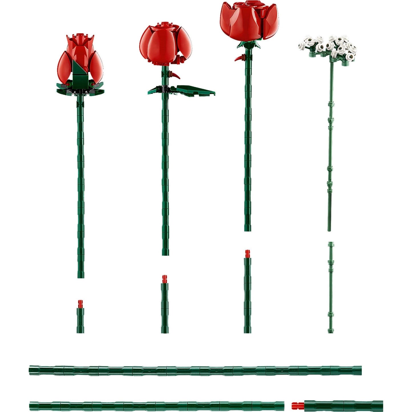 Bouquet of Roses | Icons Botanicals | 10328